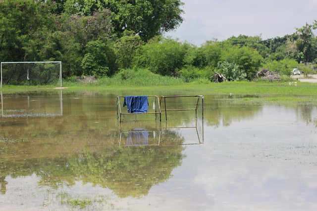 国乒男队中 国乒男队中