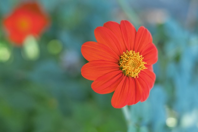 频繁更换教 频繁更换教