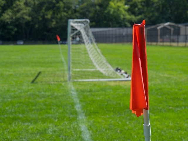 他可能会承 他可能会承