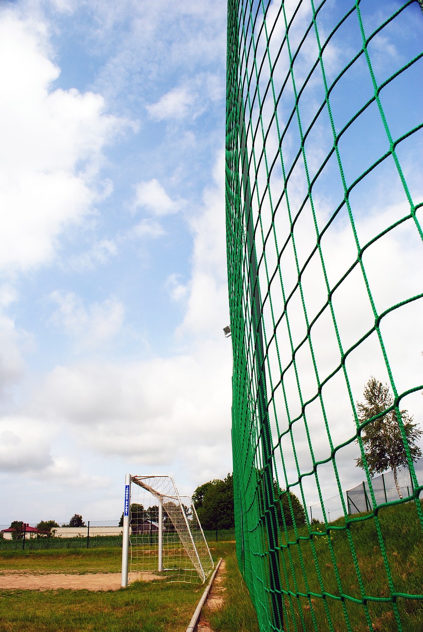 量提高了 量提高了